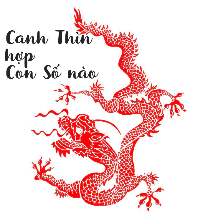 Những biển số xe hợp phong thủy mang lại may mắn cho người sinh năm Canh Thìn 2000