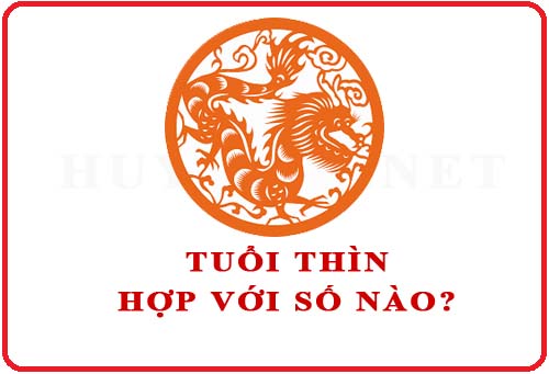 Những con số người sinh năm Canh Thìn 2000 nên tham khảo để có được nhiều may mắn và thuận lợi trong ngày hôm nay