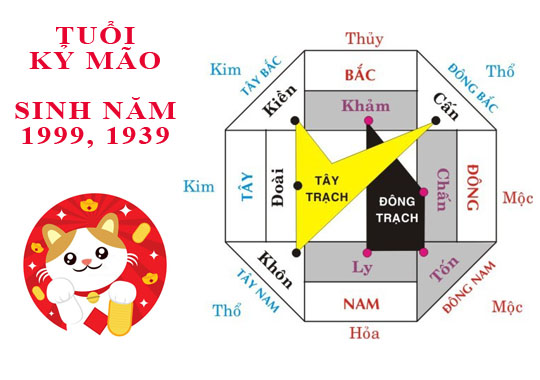 Tuổi Kỷ Mão hợp hướng nào? Sinh năm 1999 hợp hướng nào? Hướng nào hợp cho người sinh năm 1999 - tuổi Kỷ Mão?