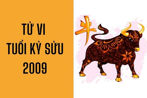 Người sinh năm Canh Thìn 2000 và người sinh năm Kỷ Sửu 2009 có hợp nhau không?
