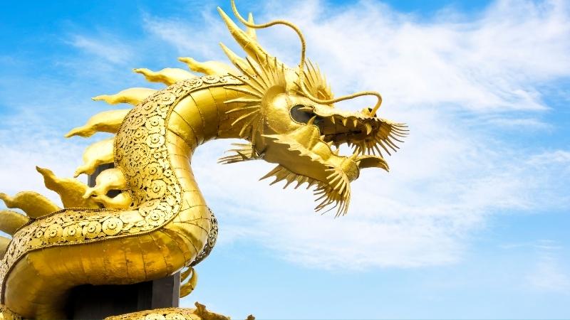 Người sinh năm Canh Thìn 2000 và người sinh năm Kỷ Sửu 2009 có hợp nhau không?