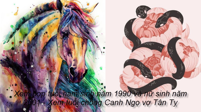 nam sinh năm 1990 có hợp với nữ 2001 không