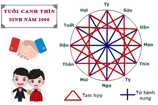 Sinh năm 2000 (Canh Thìn) có hợp với 2001 (Tân Tỵ) không?