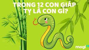 Tuổi Tân Tỵ sinh năm 2001 đến nay bao nhiêu tuổi? Năm 2023