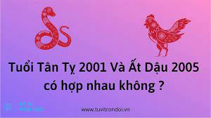 Tổng quan Nam 2001 (Tân Tỵ) có hợp với nữ 2005 (Ất Dậu)?