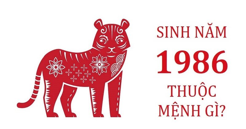 Tuổi Bính Dần sinh năm 1986 đến năm 2024 bao nhiêu tuổi? Tuổi âm là bao nhiêu?