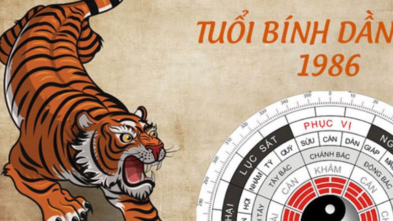 Sinh năm 1986 mệnh gì? Hợp tuổi nào? Hợp màu gì? Tuổi con gì? Cung mệnh gì? Sao gì chiếu mệnh?