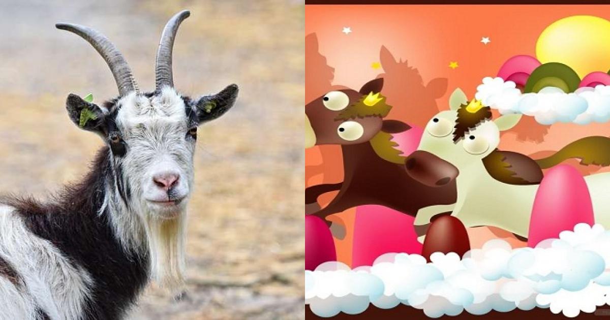 Vợ nhâm ngọ 2002 và chồng quý mùi 2003 có hợp nhau không?