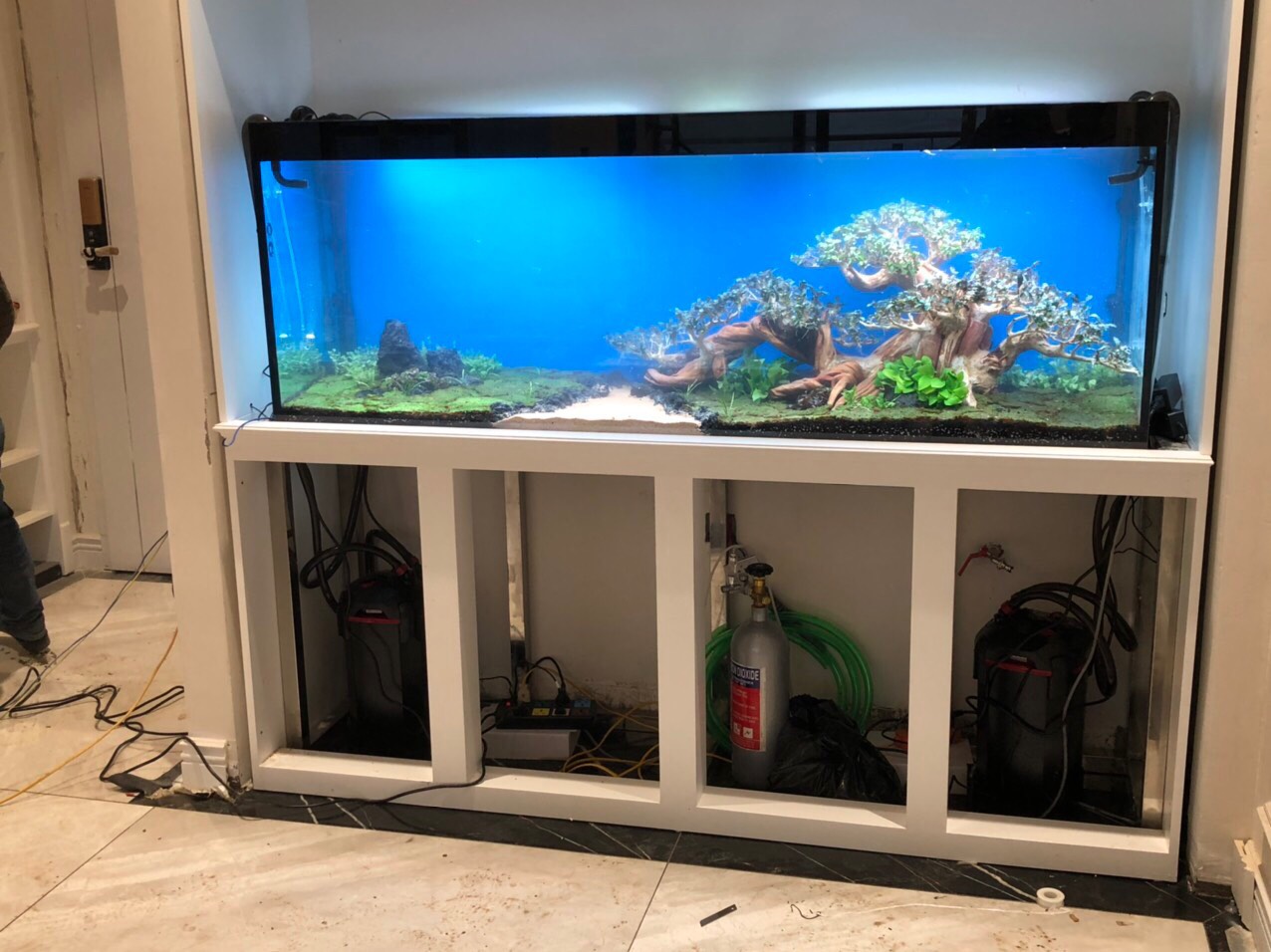 Người sinh năm 1979 có chơi được bể cá không?