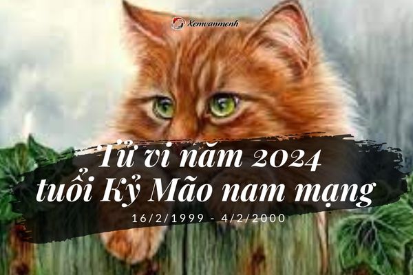 Tử vi tuổi Kỷ Mão 1999 cập nhật chính xác nhất hôm nay.
