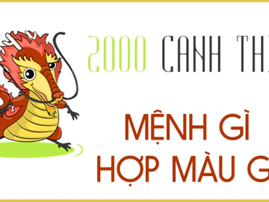 Sinh năm 2000 tuổi con gì? Hợp màu nào? Bao nhiêu tuổi? Hợp tuổi nào? Cung gì?