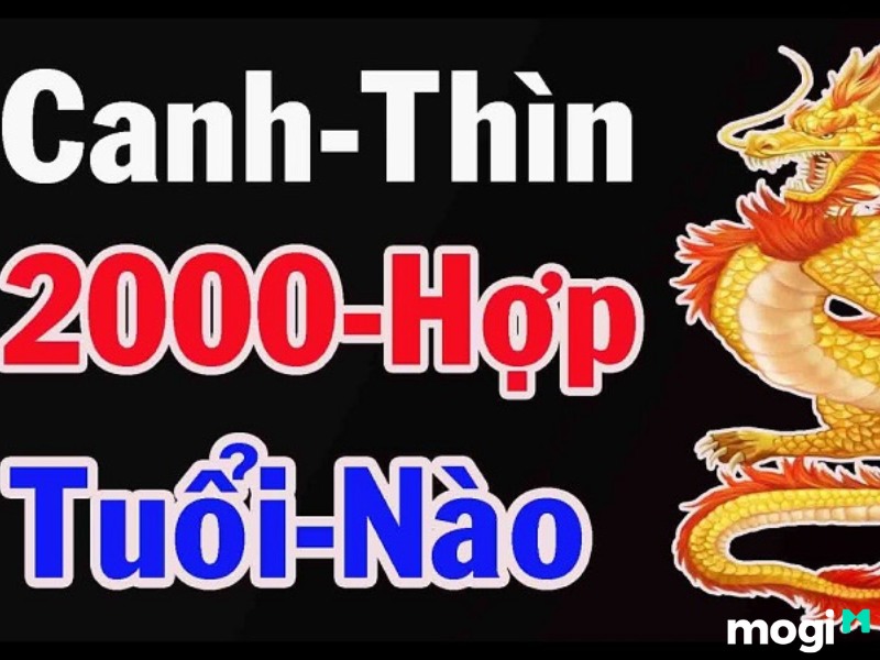 Sinh năm 2000 tuổi con gì? Hợp màu nào? Bao nhiêu tuổi? Hợp tuổi nào? Cung gì?