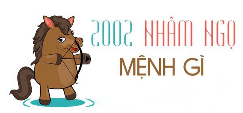 Nhâm Ngọ 2002 mệnh gì? Tuổi con gì? Cung gì? Tích cách thế nào?