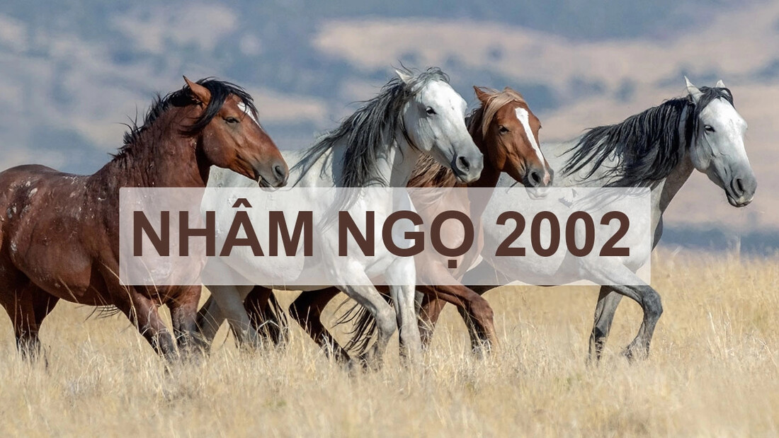 Nhâm Ngọ 2002 mệnh gì? Tuổi con gì? Cung gì? Tích cách thế nào?