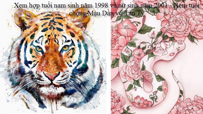 Luận giải: Chồng tuổi Mậu Dần 1998 vợ tuổi Tân Tỵ 2001 có hợp không?