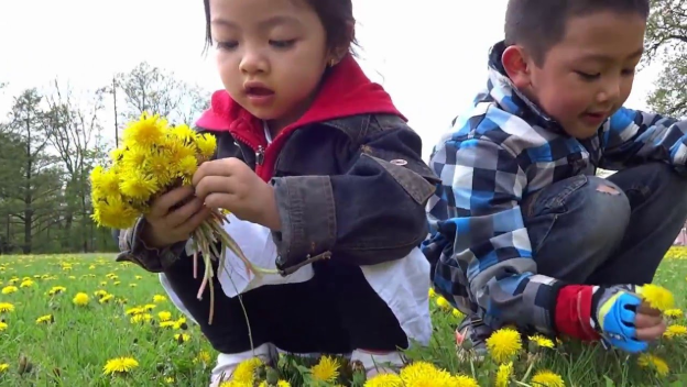 Nằm Mơ Thấy Hoa Cúc Đánh Con Gì? Giải Mã Giấc Mơ Thấy Hoa Cúc Đánh Số Mấy?