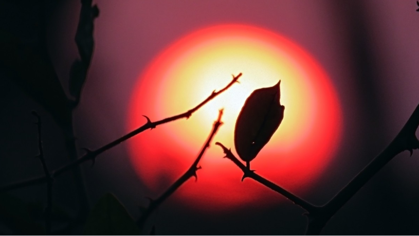 Nằm Mơ Thấy Ông Mặt Trời Đánh Con Gì? Giải Mã Giấc Mơ Thấy Ông Mặt Trời Đánh Số Mấy?