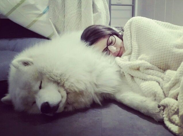 Nằm Mơ Thấy Chó Trắng Đánh Con Gì? Giải Mã Giấc Mơ Thấy Chó Trắng Đánh Số Mấy?