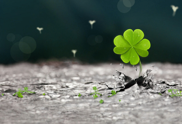 Nằm Mơ Thấy Cỏ Đánh Con Gì? Giải Mã Giấc Mơ Thấy Cỏ Đánh Số Mấy?