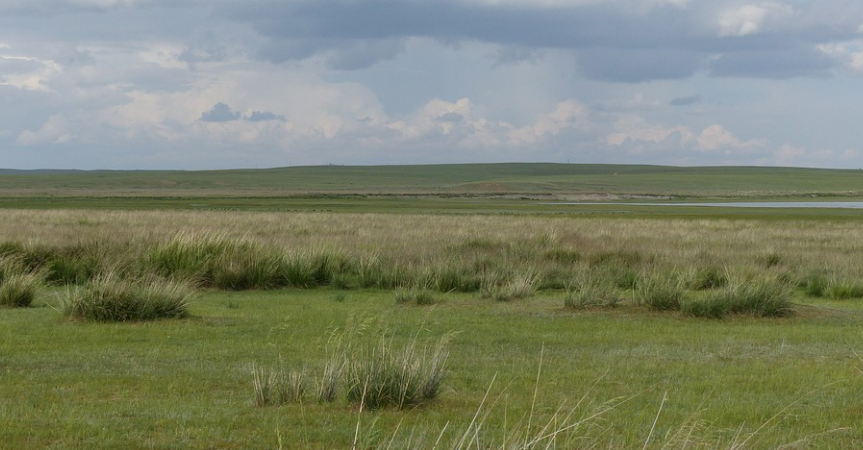 Nằm Mơ Thấy Cỏ Đánh Con Gì? Giải Mã Giấc Mơ Thấy Cỏ Đánh Số Mấy?