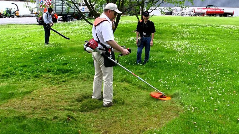 Nằm Mơ Thấy Cỏ Đánh Con Gì? Giải Mã Giấc Mơ Thấy Cỏ Đánh Số Mấy?