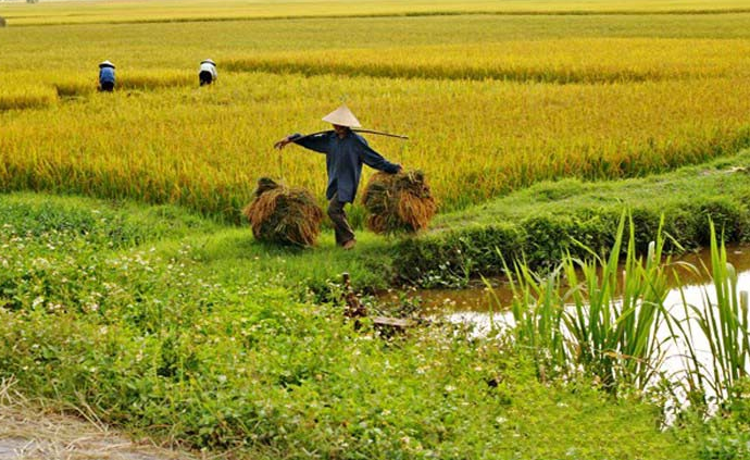 Nằm Mơ Thấy Lên Đồng Đánh Con Gì? Giải Mã Giấc Mơ Thấy Lên Đồng Đánh Số Mấy?