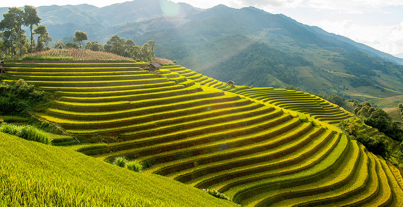 Nằm Mơ Thấy Lên Đồng Đánh Con Gì? Giải Mã Giấc Mơ Thấy Lên Đồng Đánh Số Mấy?