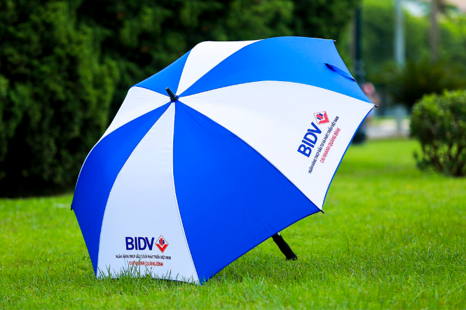 Nằm Mơ Thấy Ô Dù Đánh Con Gì? Giải Mã Giấc Mơ Thấy Ô Dù Đánh Số Mấy?