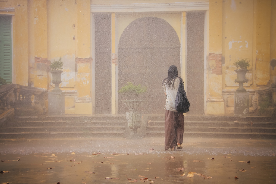 Nằm Mơ Thấy Ô Dù Đánh Con Gì? Giải Mã Giấc Mơ Thấy Ô Dù Đánh Số Mấy?