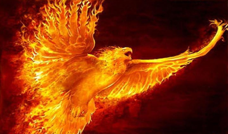 Nằm Mơ Thấy Phượng Hoàng Đánh Con Gì? Giải Mã Giấc Mơ Thấy Phượng Hoàng Đánh Số Mấy?