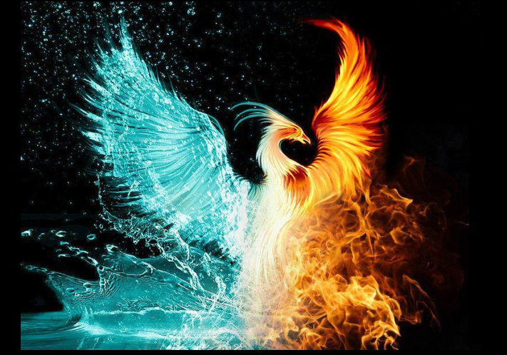 Nằm Mơ Thấy Phượng Hoàng Đánh Con Gì? Giải Mã Giấc Mơ Thấy Phượng Hoàng Đánh Số Mấy?