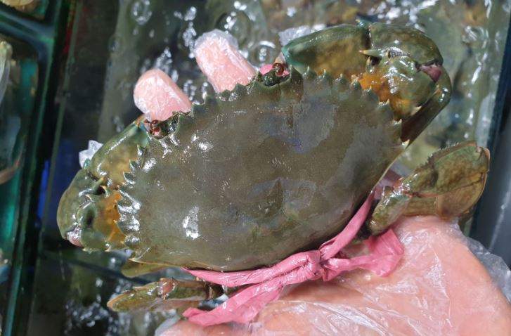 Nằm Mơ Thấy Cua Biển Đánh Con Gì? Giải Mã Giấc Mơ Thấy Cua Biển Đánh Số Mấy?