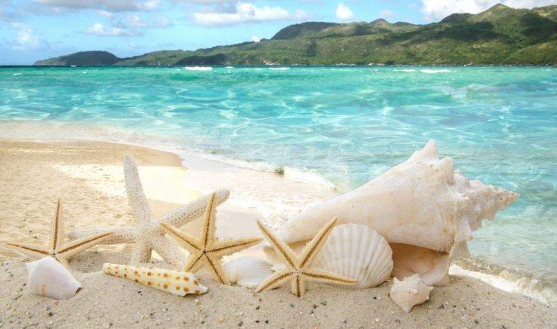 Nằm Mơ Thấy Biển Cạn Đánh Con Gì? Giải Mã Giấc Mơ Thấy Biển Cạn Đánh Số Mấy?