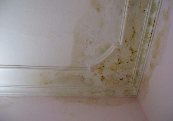 Nằm Mơ Thấy Nhà Dột Đánh Con Gì? Giải Mã Giấc Mơ Thấy Nhà Dột Đánh Số Mấy?