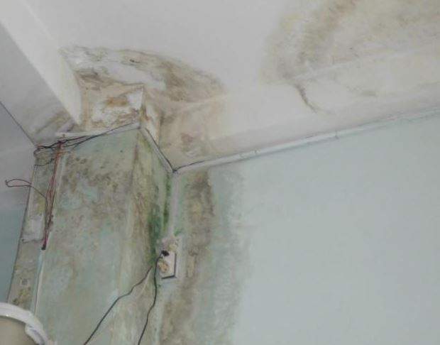 Nằm Mơ Thấy Nhà Dột Đánh Con Gì? Giải Mã Giấc Mơ Thấy Nhà Dột Đánh Số Mấy?