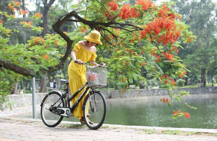 Nằm Mơ Thấy Xe Đạp Đánh Con Gì? Giải Mã Giấc Mơ Thấy Xe Đạp Đánh Số Mấy?