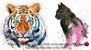 Nam sinh năm 1998 Mậu Dần và Nữ sinh năm 1999 Kỷ Mão có hợp không?