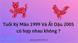 Nam 1999 và nữ 2005 có hợp nhau không? Kỹ Mão - Ất Dậu
