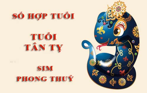 Luận giải: Con số mang lại may mắn - tài lộc cho mệnh Kim tuổi Tân Tỵ 2001 mới nhất