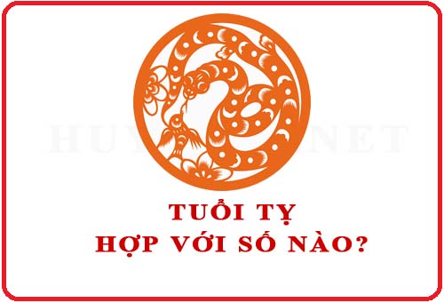 Luận giải: Con số mang lại may mắn - tài lộc cho mệnh Kim tuổi Tân Tỵ 2001 mới nhất