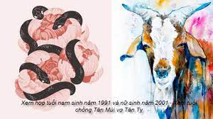Sinh năm Tân Mùi 1991 có hợp với Tân Tỵ  2001 không? Cập nhật mới nhất