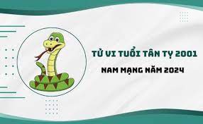 Xem tử vi tuổi Tân Tỵ 2001 trong năm 2024 - Nam mạng chính xác nhất